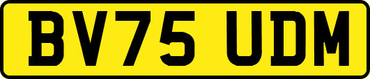 BV75UDM
