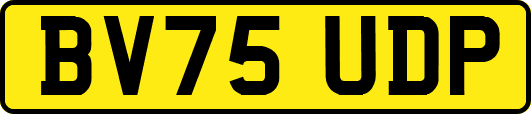 BV75UDP