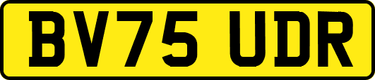 BV75UDR