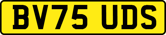 BV75UDS
