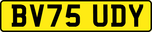 BV75UDY