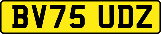 BV75UDZ