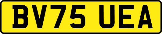 BV75UEA