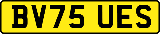 BV75UES