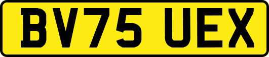 BV75UEX