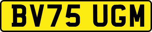 BV75UGM