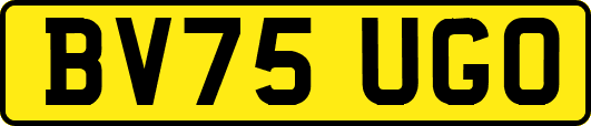 BV75UGO
