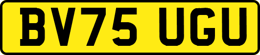 BV75UGU
