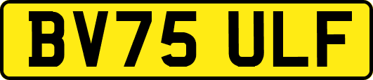 BV75ULF
