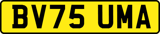 BV75UMA