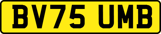 BV75UMB