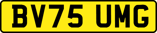BV75UMG