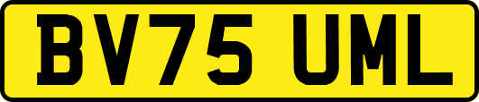 BV75UML