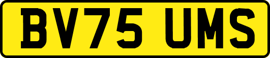 BV75UMS
