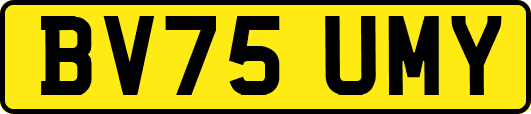 BV75UMY