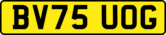BV75UOG