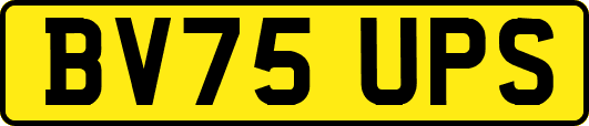 BV75UPS