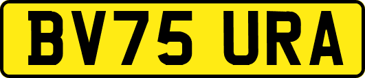 BV75URA