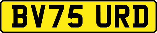 BV75URD