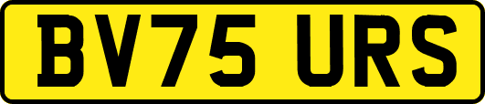 BV75URS