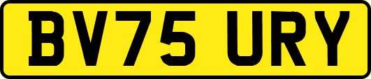 BV75URY