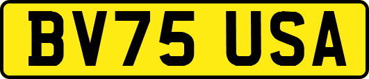 BV75USA