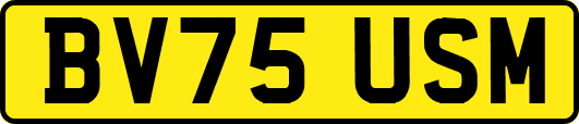 BV75USM