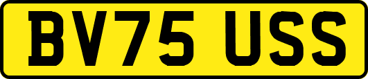 BV75USS