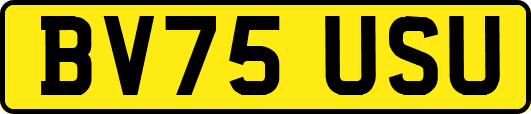 BV75USU
