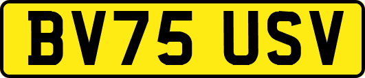 BV75USV