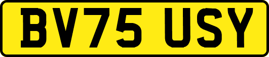 BV75USY