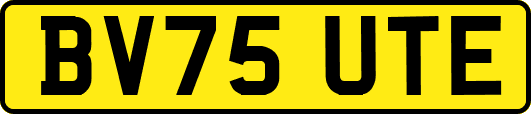 BV75UTE