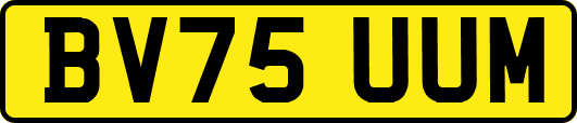 BV75UUM