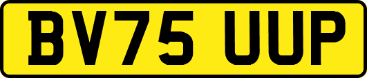 BV75UUP
