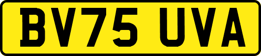 BV75UVA