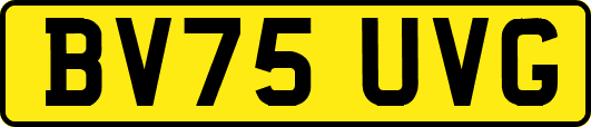 BV75UVG
