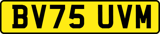 BV75UVM