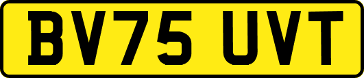 BV75UVT