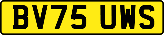 BV75UWS