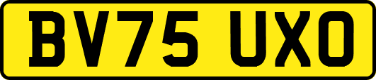 BV75UXO