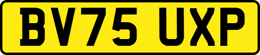 BV75UXP