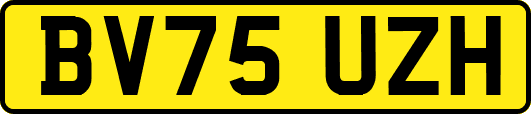 BV75UZH
