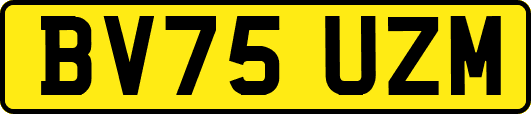BV75UZM