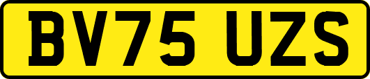 BV75UZS