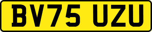 BV75UZU