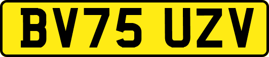 BV75UZV