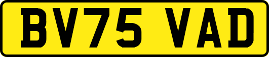 BV75VAD