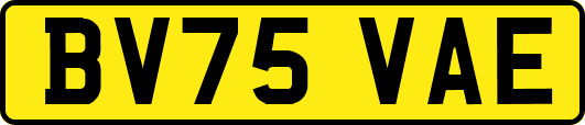 BV75VAE