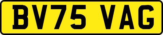 BV75VAG