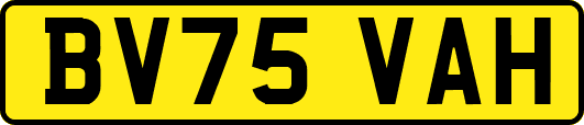 BV75VAH